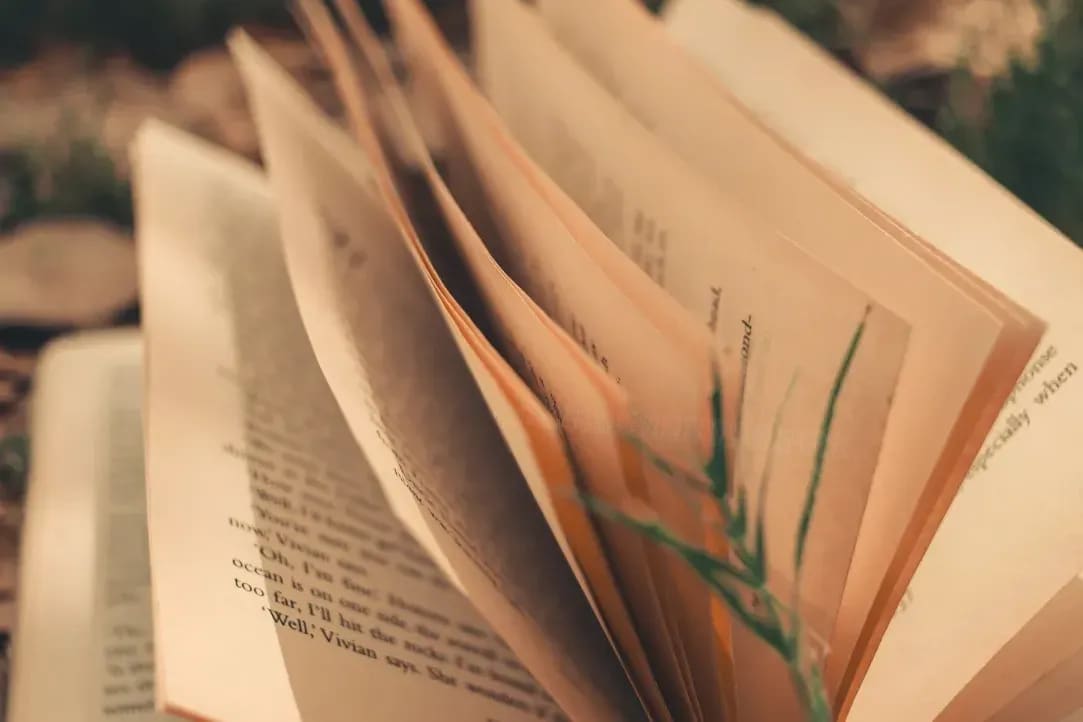 英文メール・文書添削